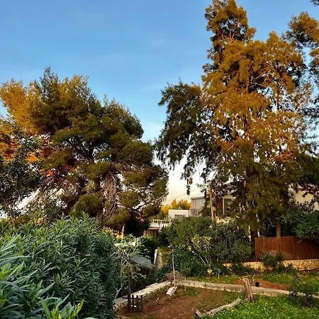Casa vacanze House With Swimming Pool And Amazing Sea And Mountain Views In Montgo, Dénia